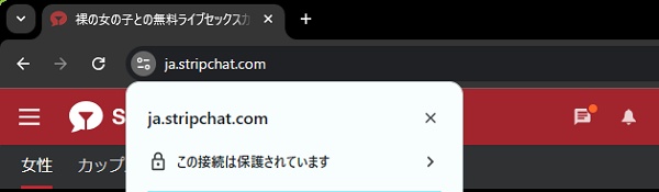 stripchatのサイトはSSL化されている